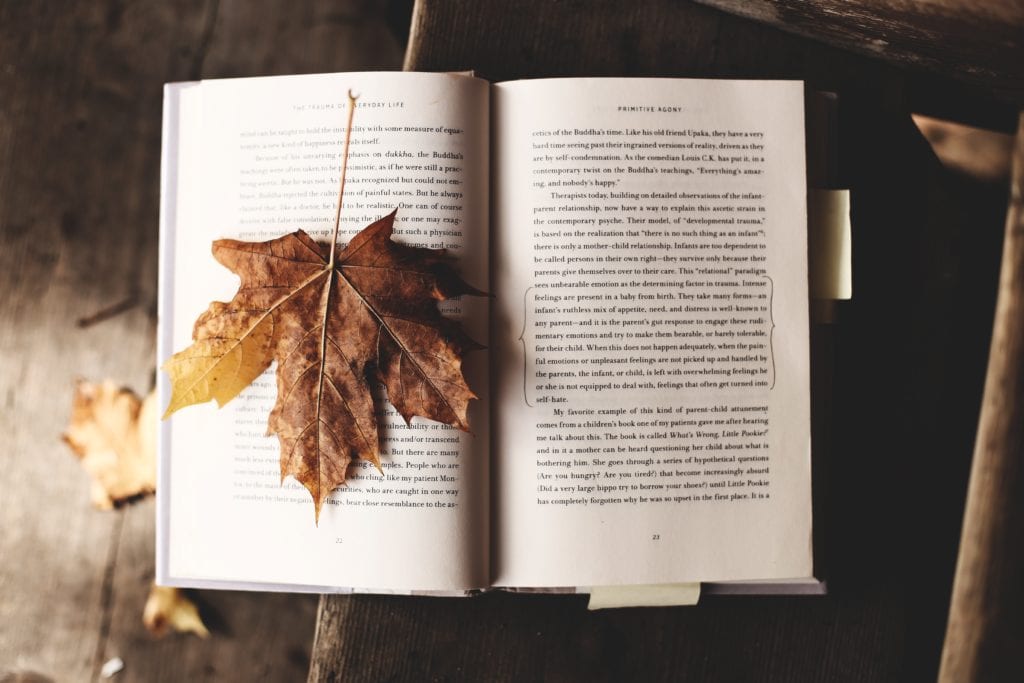 Oktober: Unsere Top 10 Buchtipps für dich