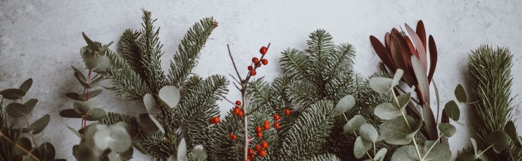 «Die echte Freude an Weihnachten» – eine Geschichte von Fiona Curiger