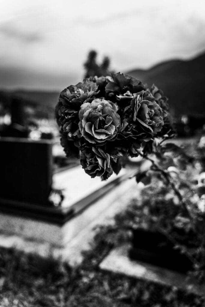«So bleich wie Blumen aus Papier» – eine Geschichte von Sumeya Eren
