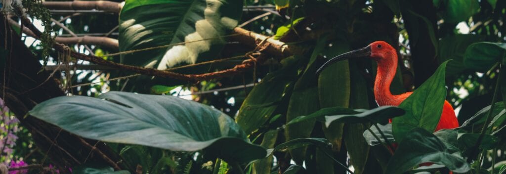 «Wer ist am talentiertesten?» – eine Geschichte von Luana Hartmann