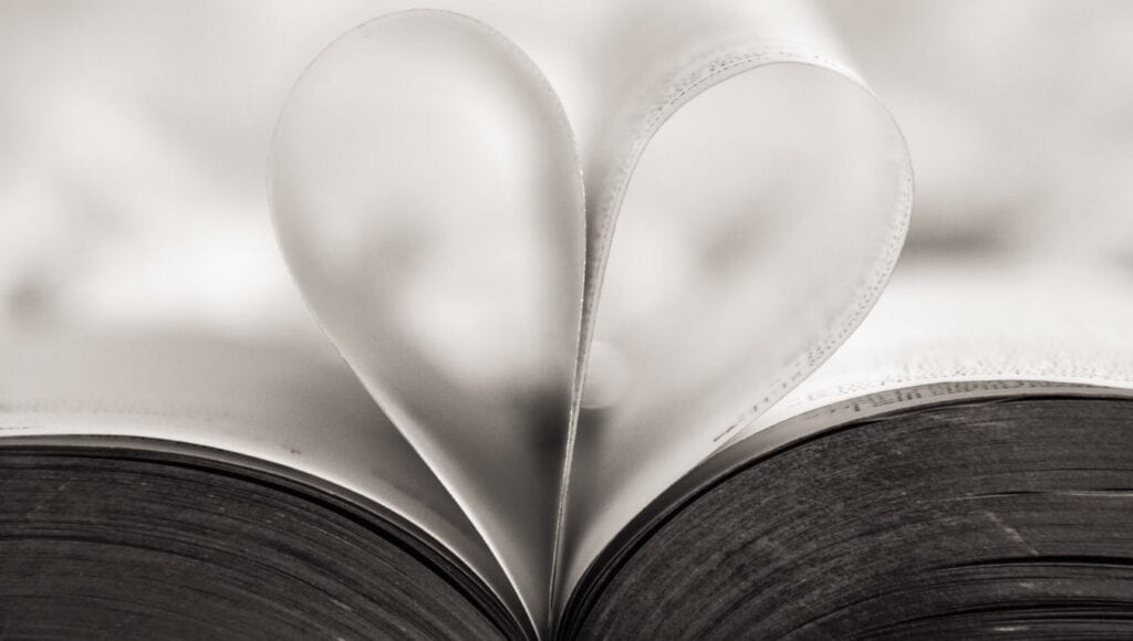 Spotted: «Booklove»