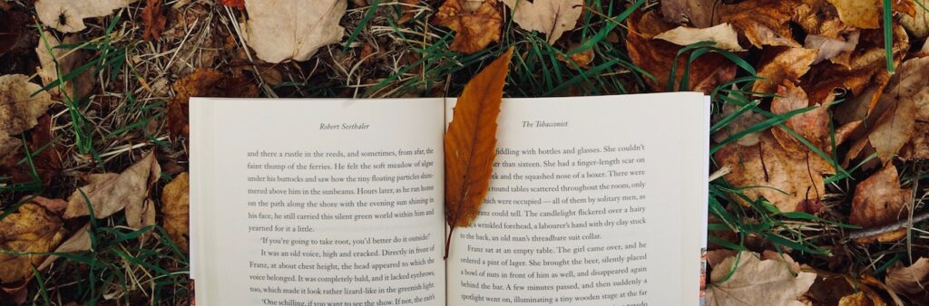 Top 10 English Books for autumn days
