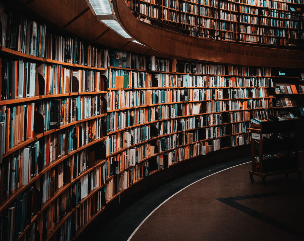 «Der Schatz in der Bibliothek» – eine Geschichte von Raphaela Sohm