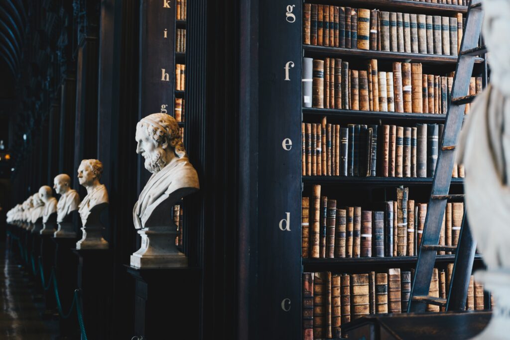 «Die Bibliothek der verlorenen Dinge» – Emily Ryser