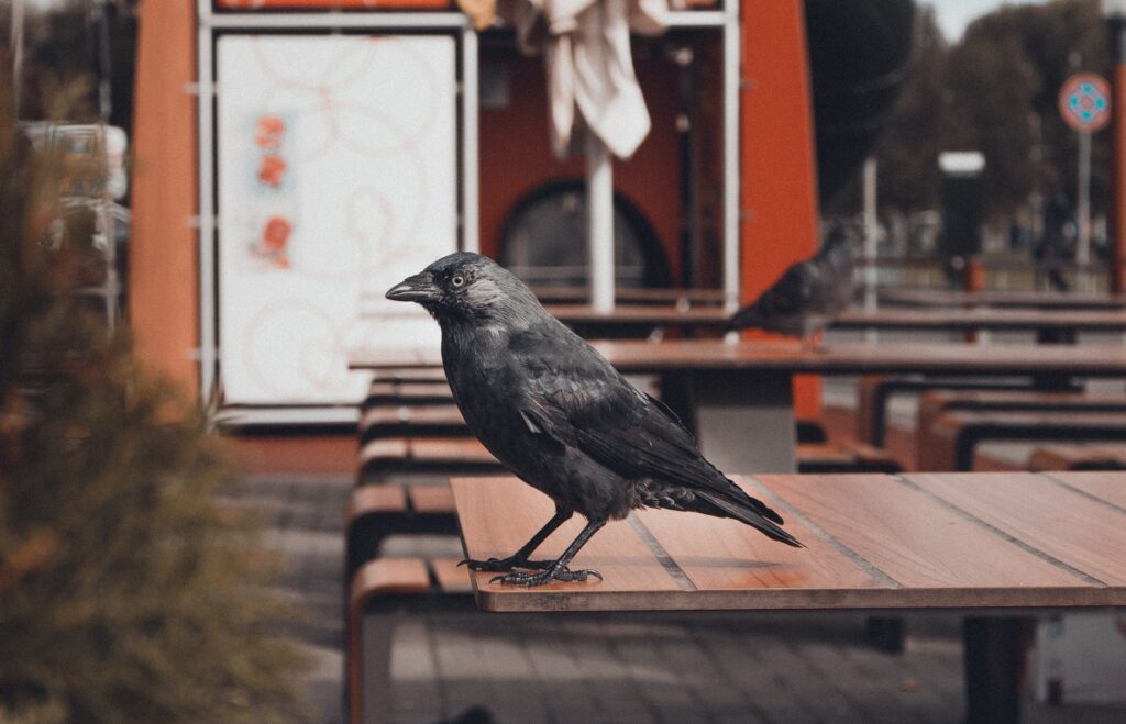 «Ein kleiner Flug» – eine Geschichte von Sasha Brändle
