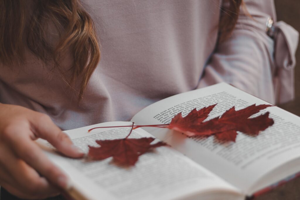 Top 10 Herbst-Neuheiten
