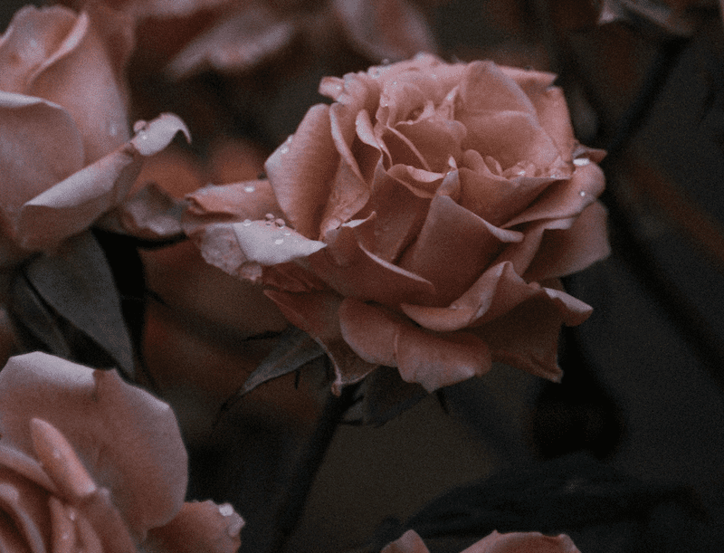 Top 10 Regency Romance