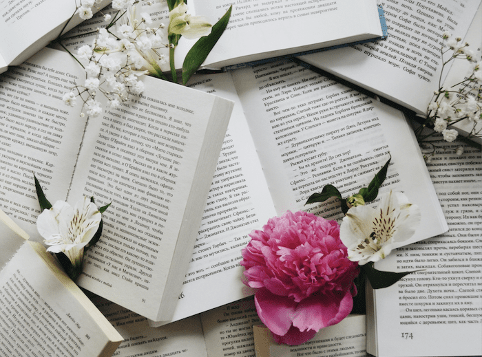 Buch-Special: «Katmere Academy Chroniken» von Tracy Wolff