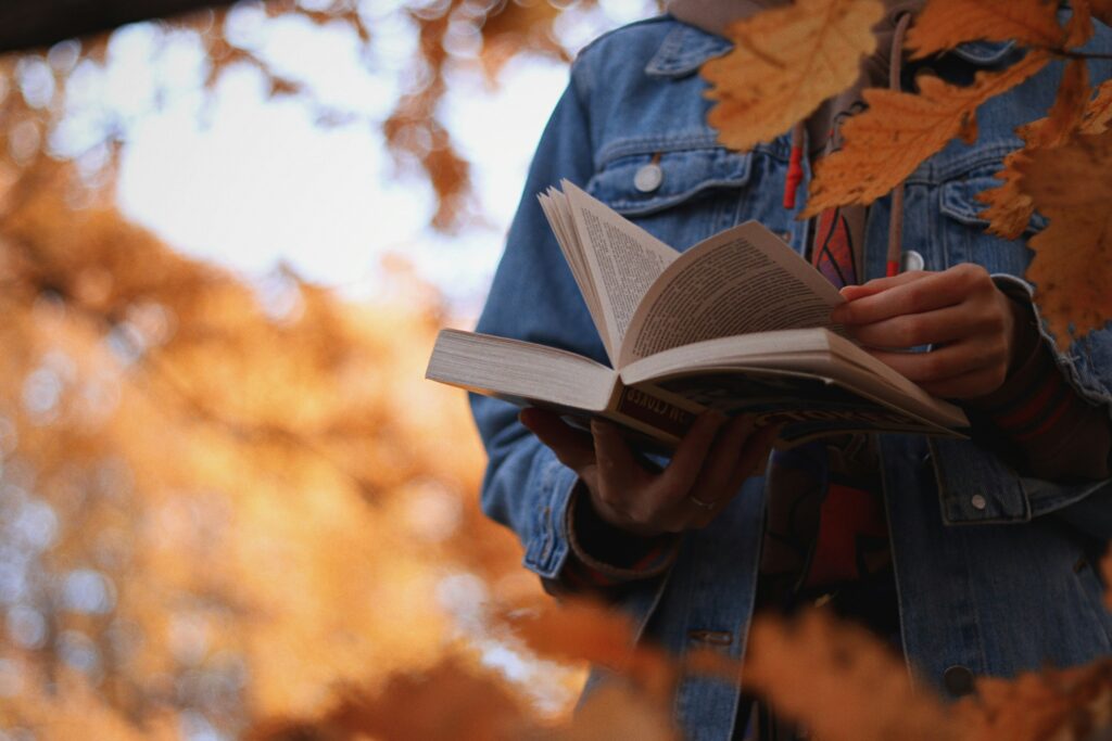 Top 10 Herbstneuheiten