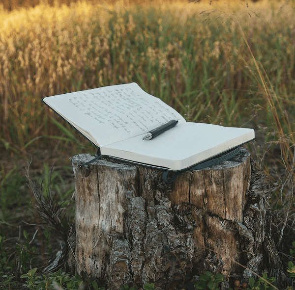 «Diary of Fate» – Eine Geschichte von Riana König