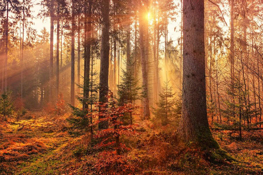 «Cold kisses in autumn» – Eine Geschichte von Amelie Landis